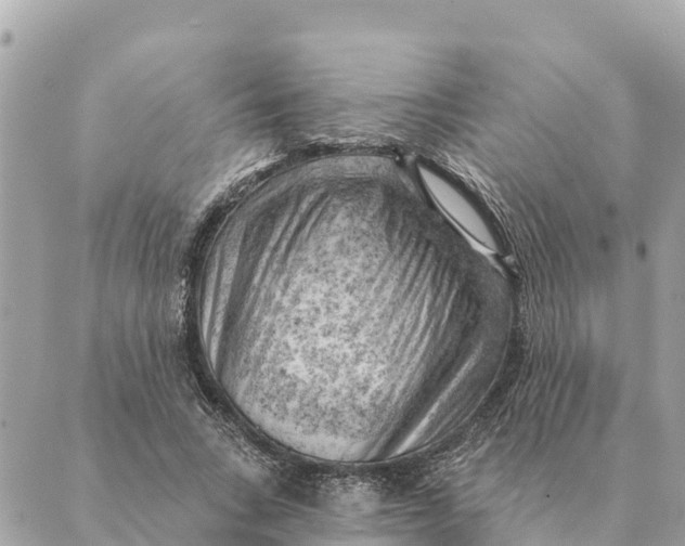 X0000088830735200706281755