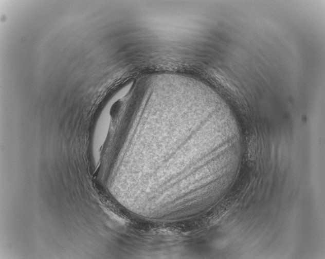 X0000088830737200706281755