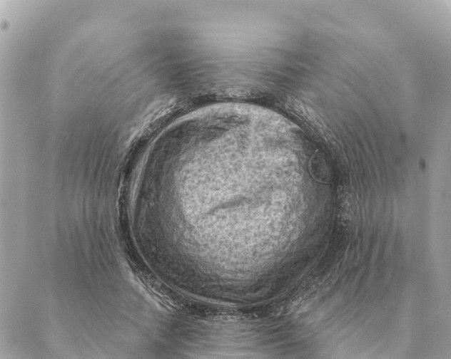 X0000088830738200706281755