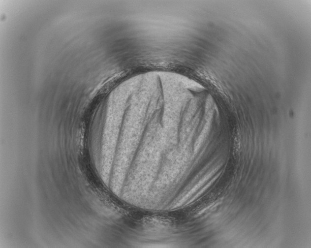 X0000088830739200706281755