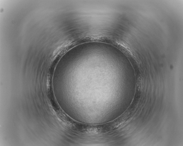 X0000088830740200706281755