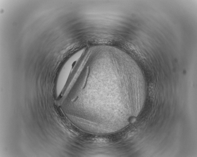 X0000088830741200706281755