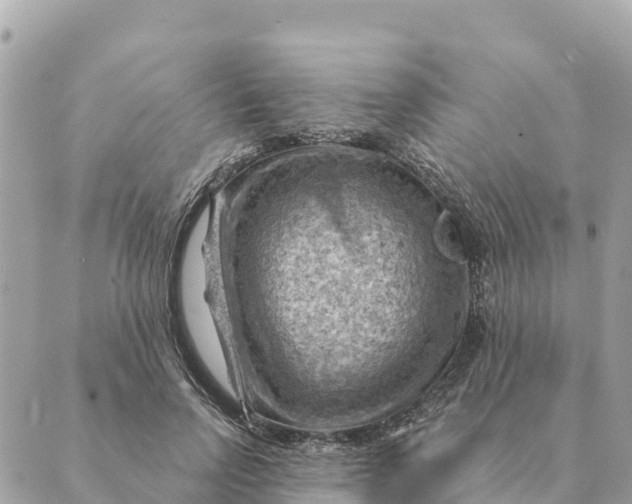 X0000088830742200706281755