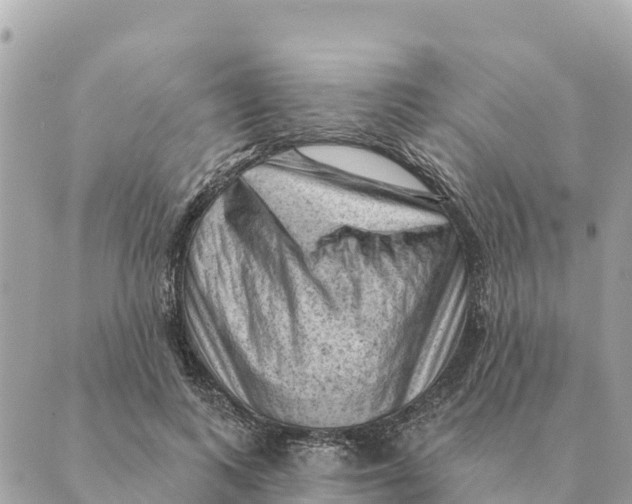 X0000088830743200706281755