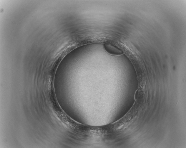 X0000088830744200706281755