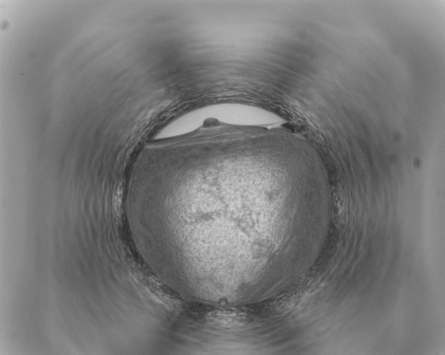 X0000088830745200706281755