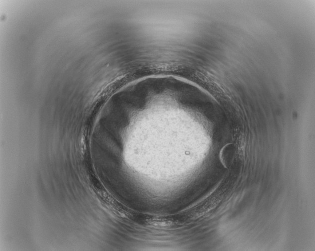 X0000088830746200706281755