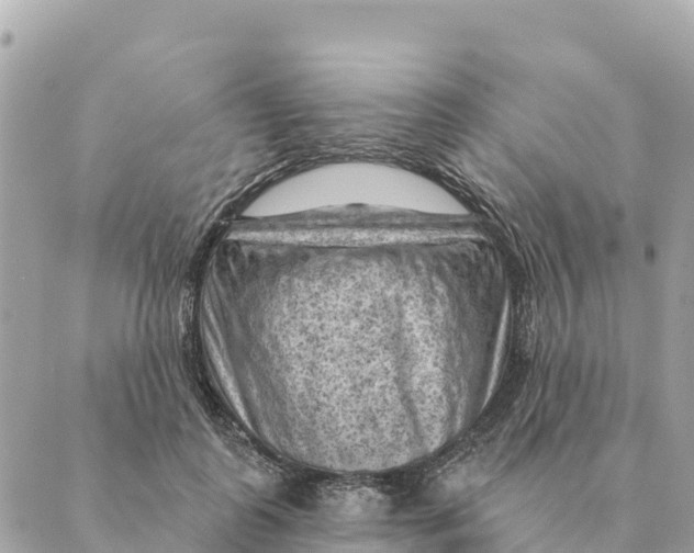 X0000088830747200706281755