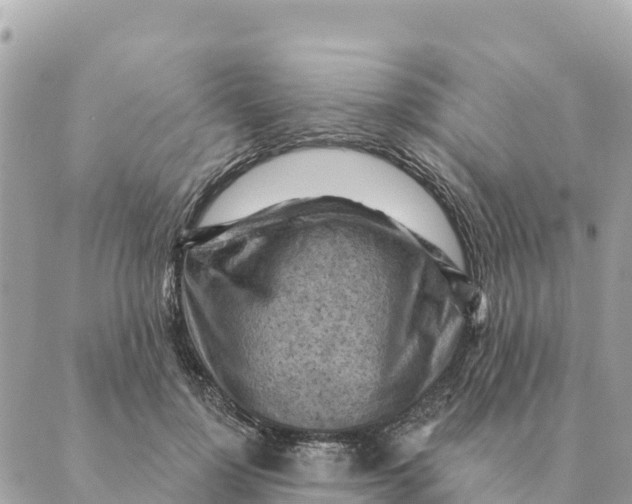 X0000088830748200706281755