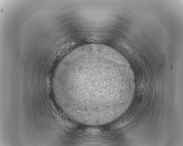 X0000088830749200706281755