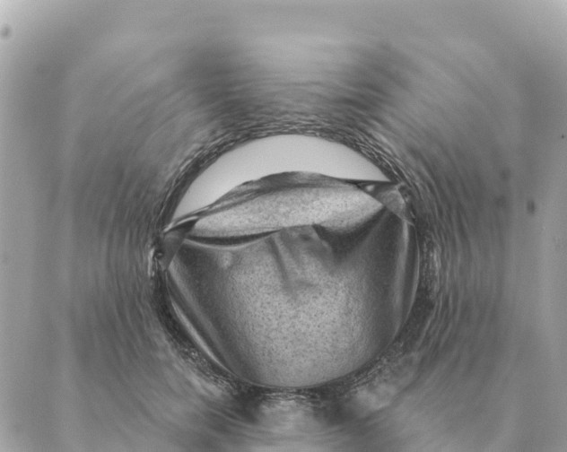 X0000088830750200706281755