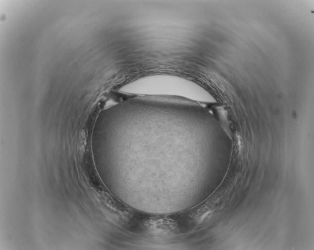 X0000088830752200706281755