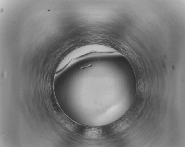 X0000088830754200706281755