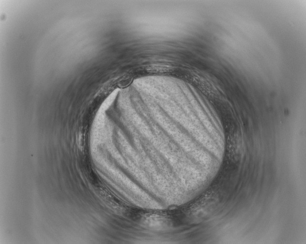 X0000088830755200706281755