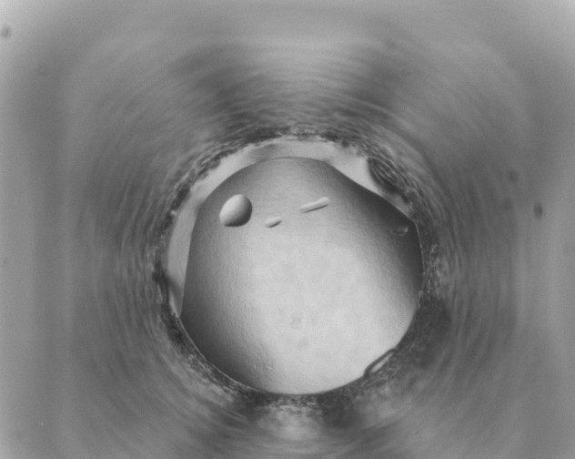 X0000088830756200706281755