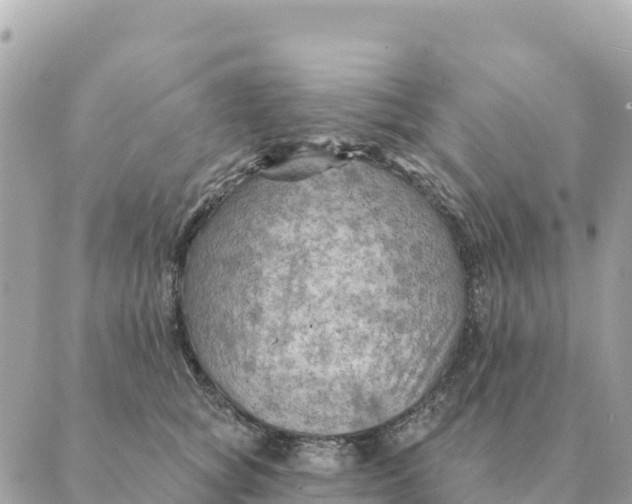 X0000088830757200706281755