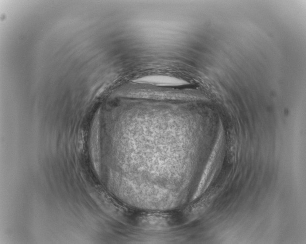 X0000088830758200706281755