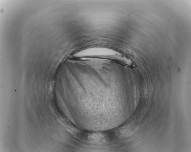 X0000088830759200706281756