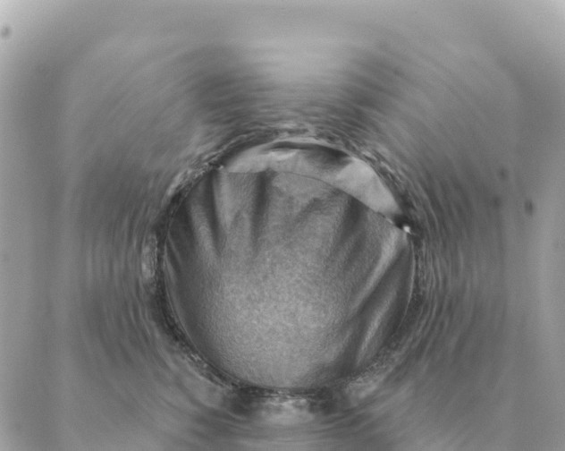 X0000088830760200706281756