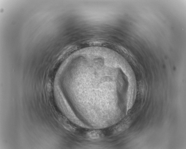 X0000088830761200706281756