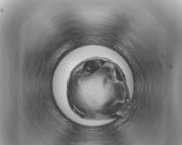 X0000088830762200706281756