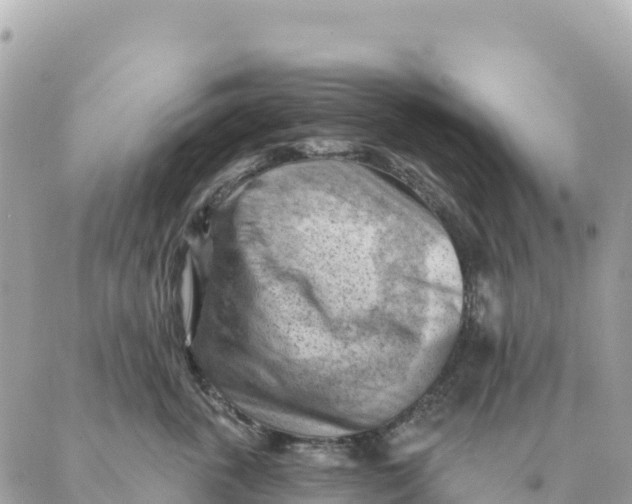 X0000088830763200706281756