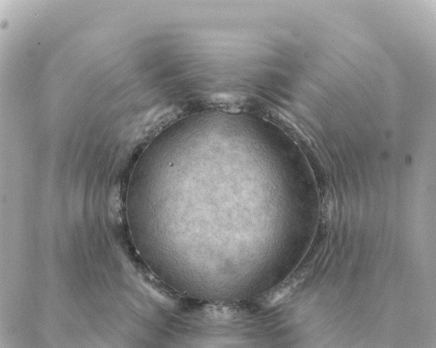 X0000088830764200706281756