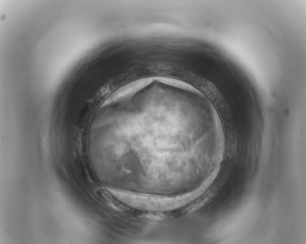 X0000088830765200706281756