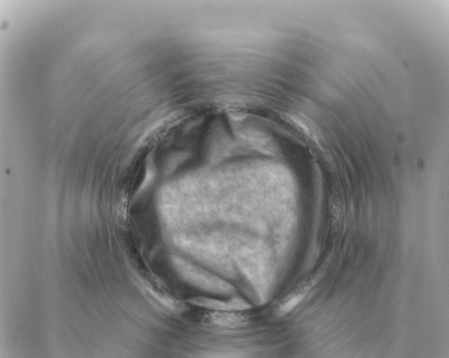 X0000088830766200706281756