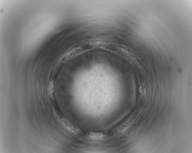 X0000088830767200706281756