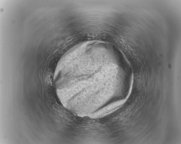 X0000088830770200706281755