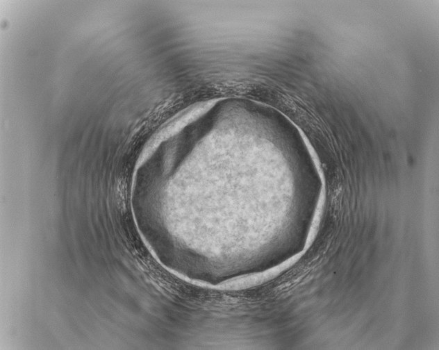 X0000088830772200706281755