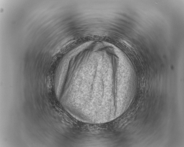 X0000088830774200706281755