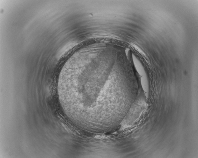 X0000088830775200706281755