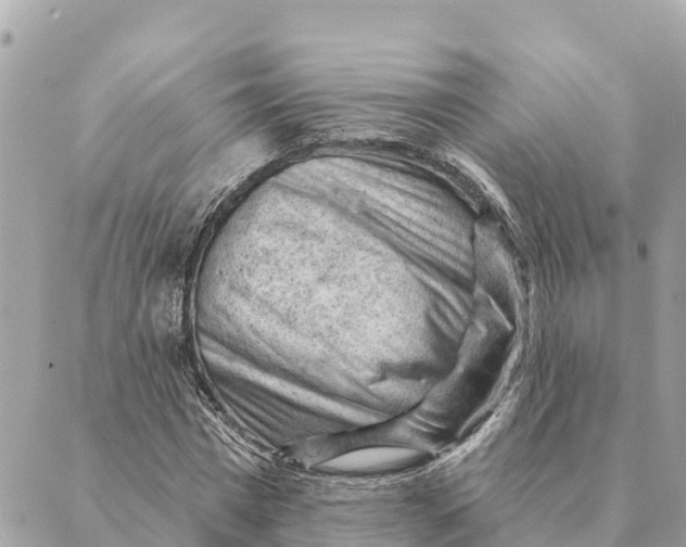 X0000088830777200706281755