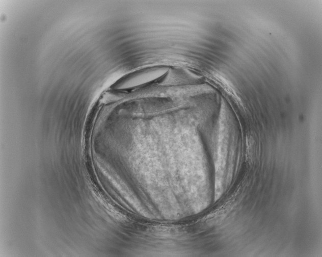 X0000088830780200706281755