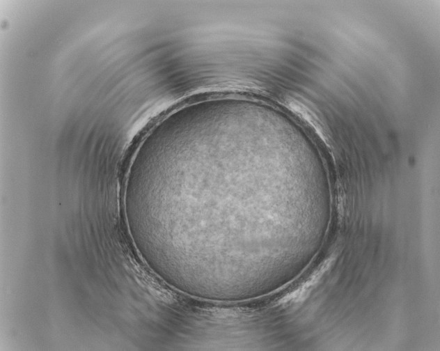 X0000088830781200706281755