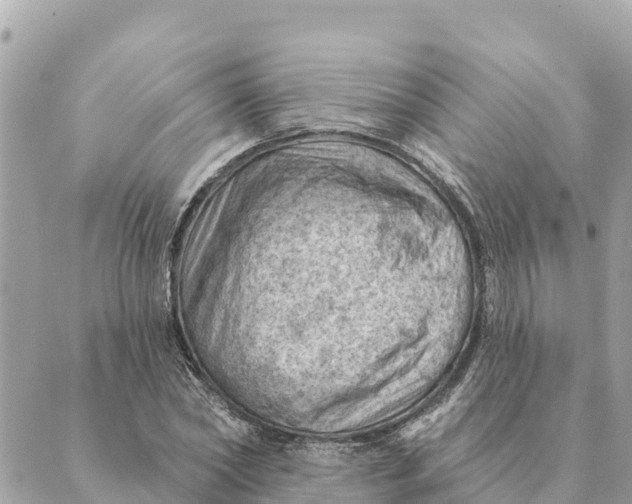 X0000088830782200706281755