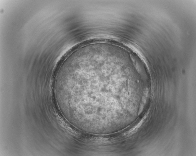 X0000088830783200706281755