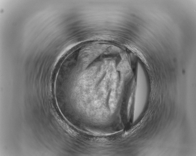 X0000088830784200706281755