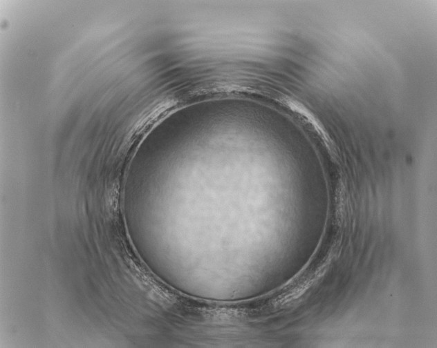 X0000088830785200706281755