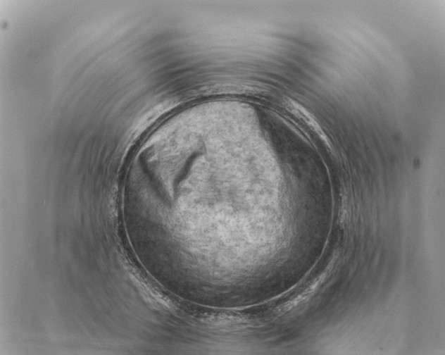 X0000088830786200706281755