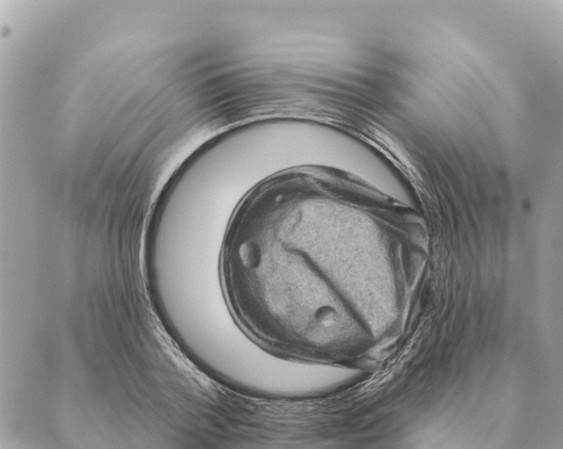 X0000088830788200706281755