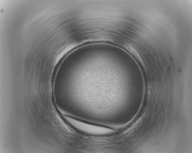 X0000088830789200706281755