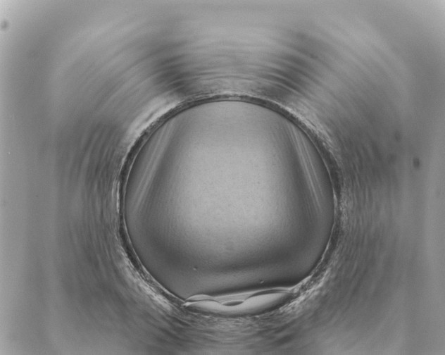 X0000088830790200706281755