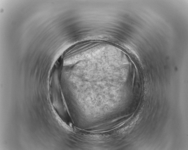 X0000088830792200706281755