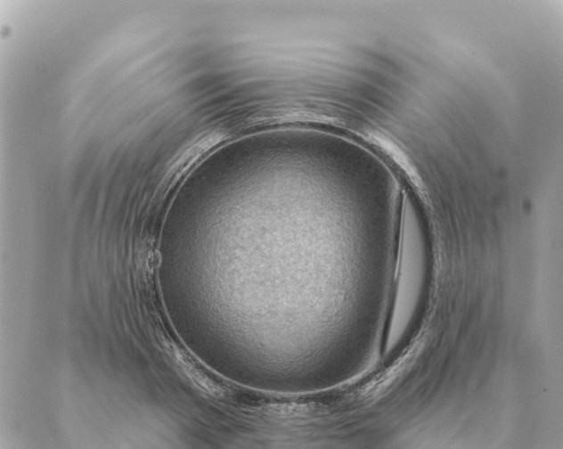 X0000088830793200706281754