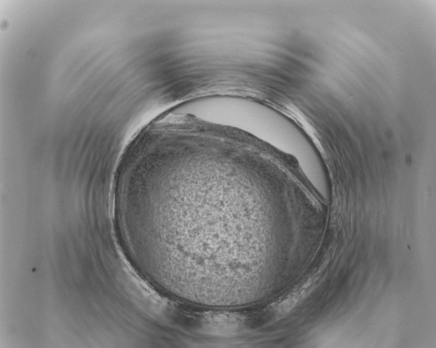 X0000088830795200706281754