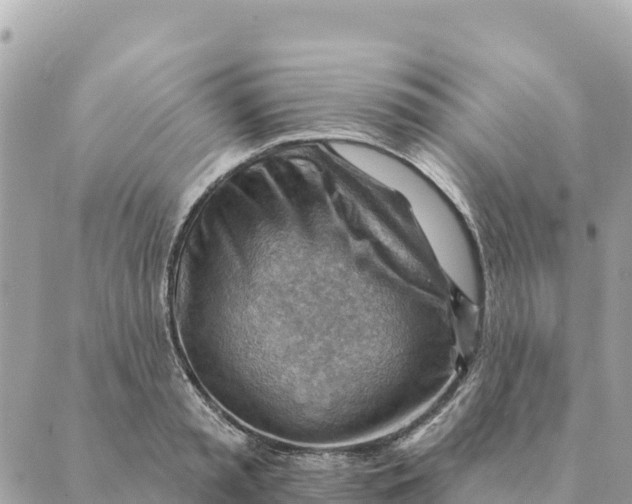 X0000088830797200706281754