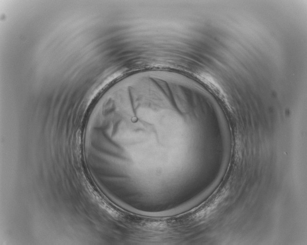 X0000088830798200706281754